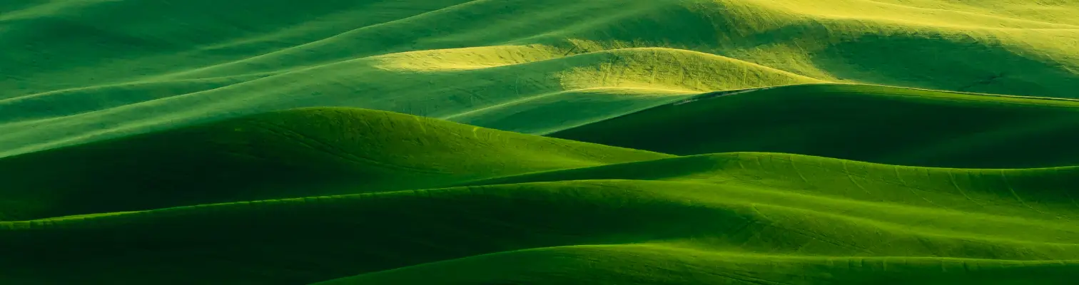 Zielone tło strony internetowej